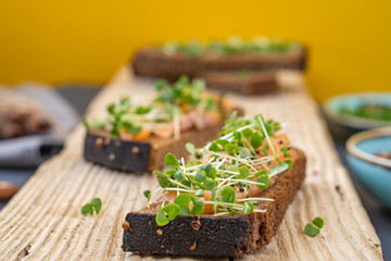 salmon toast with a grass (micro-green) wooden background top view. concept of healthy eating. assortment of bruschetta. bread with red fish.