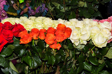 Valentine's Day, Mother's Day, Woman's Day