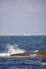 boats sailing at dawn in the bay