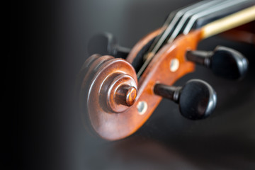Obraz na płótnie Canvas snail of the violin on black background front view unfocused wallpaper