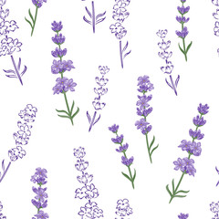Lavender seamless pattern. Floral background. Beautiful lavender flowers on white background. Vector color illustration in cartoon flat style and outline.