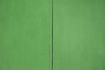 green Wood door texture background - abstract surface with copy space                                