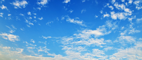 Naklejka na ściany i meble bueatiful blue sky with white cloud