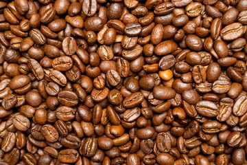 Arabica coffee beans with top view
