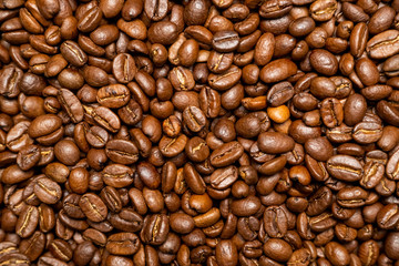 Arabica coffee beans with top view