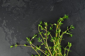 Thyme sprigs bunch on dark background. Aromatherapy and green living concept. Top view, copy space.