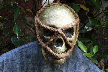 Closeup Halloween human skull - interior design for halloween festival 