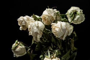 A close up of wilted roses