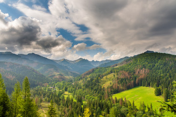 Obraz premium Mountains covered with green forests. Polish Tatras