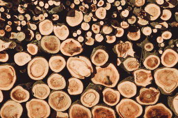 Texture of woodpile firewood, winter