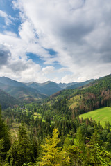 Fototapeta premium Mountains covered with beautiful green forests. Polish Tatras