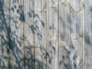 background of vertical old gray boards with shadow from tree