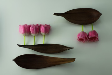 
Pink tulips with brown bark on a white background