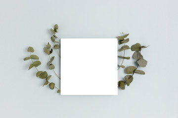Frame made of eucalyptus on a blue pastel background. Paper card mockup. Spring concept with copy space.