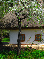 Old ukrainian clay house with a straw roof.