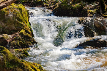 waterfall in the forest