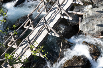 waterfall in the forest