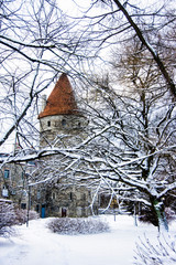 Old Tallinn park in the snow