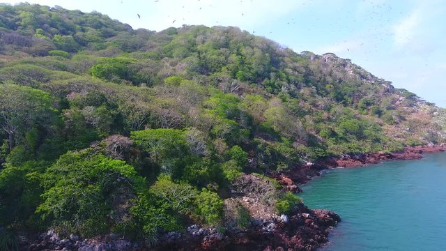 Frigates and Pelicans Roosting and Flying Over Rock Cliffs on Remote Bona Island, Panama