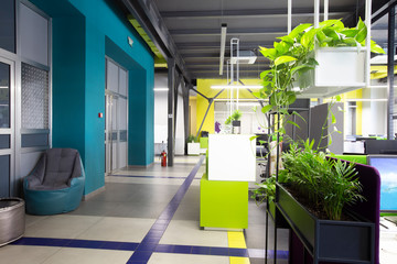 Modern office for workers with open space and live plants