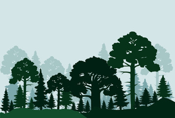 Forest background with fir trees and pines silhouettes. Vector illustration
