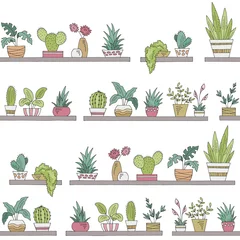 Fototapete Pflanzen in Töpfen Regale grafische Farbe nahtlose Muster Hintergrund Skizze Illustration Vektor