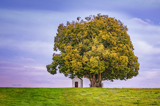 Linde, Kapellenlinde, Schmidhub, Berg, Perach, Leonberg Landkreis Alt&ouml;tting, Oberbayern, Bayern, Deutschland, Naturdenkmal, Baum, Kapelle