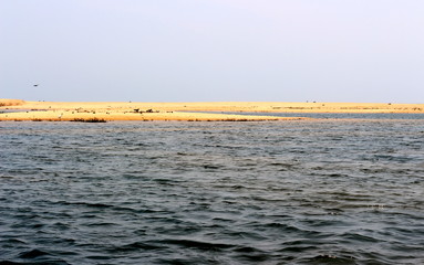 Sea shore with golden sand and blue gray waters on a bright sunny day