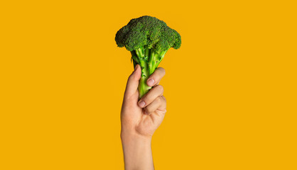 Healthy diet concept. Male hand holding broccoli on orange background, close up. Panorama