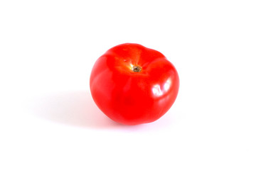 tomato on a white background