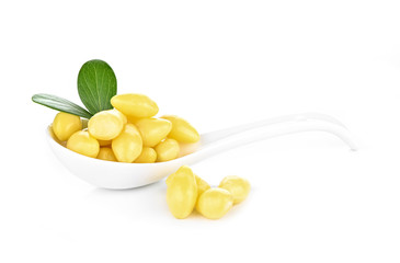 ginkgo biloba  on white background