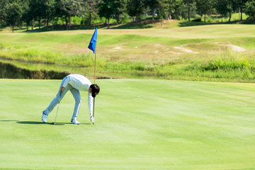 Golfer man playing golf aiming shot for putting ball on the hole with club on green course. ...