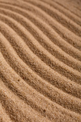 Fototapeta na wymiar Summer sandy background or texture. Sandy waves near the sea.