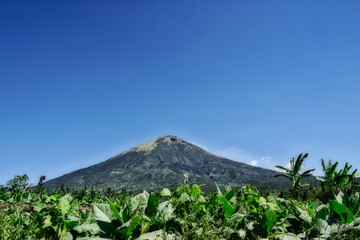mountain landscape with blue sky, with tobacco field