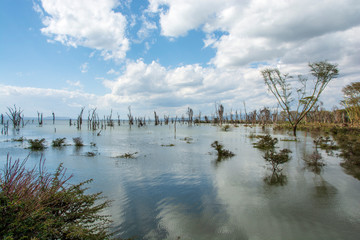 LAGOS DE KENIA