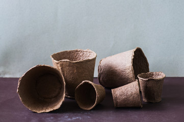 Group of  peat pots of different sizes.