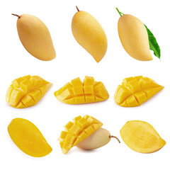 Yellow Mango fruit  Isolated on white background