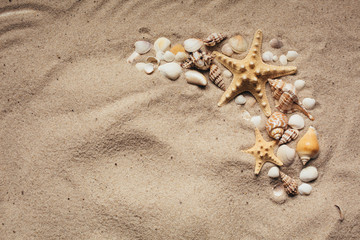 Fototapeta na wymiar Summer beach. Sea sand with starfish and shells. Top view with copy space.