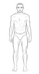 Male body drawing