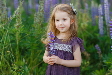 Cute, four year old girl in violet dress hold in hands bouquet of lupine flowers. Funny smiling child with long hair on the field. Kid play outdoor. Concept of happy childhood and summer leisure