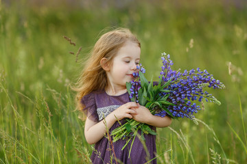 Cute, four year old girl in violet dress sniffing bouquet of lupine flowers. Funny smiling child with long hair on the field. Kid play outdoor. Concept of happy childhood and summer leisure