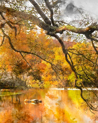 Digital watercolor painting of Stunning Autumn Fall landscape of lake in stunning sunrise soft light in English countryside