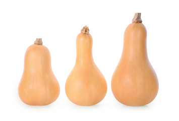 three whole butternut squash isolated on white background