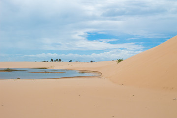 Dunes and beach at Lençóis Maranhenses, MA, Brazil
