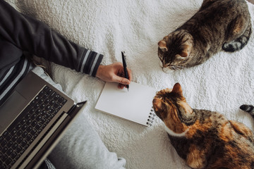 Hand of a left-handed person making a drawing or writing in a notebook while lying in bed with a laptop on his lap. Two cats nearby. Top view. Designer freelancer or work from home concept