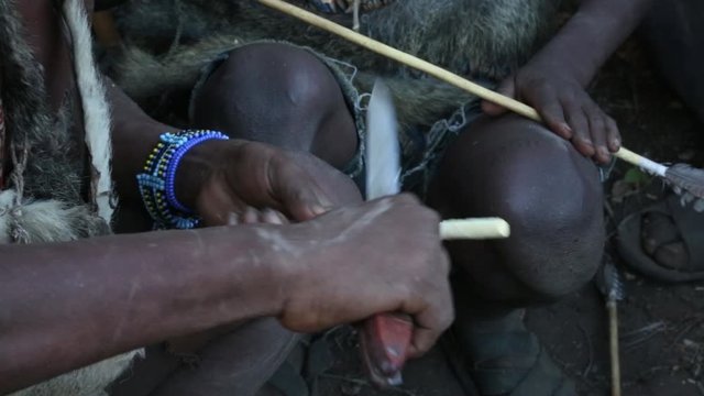 An unidentified Hadzabe bushman with bow and arrow during hunting Hadzabe tribe threatened by extinction.