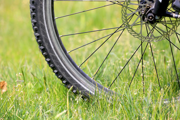 bicycle wheel in the grass