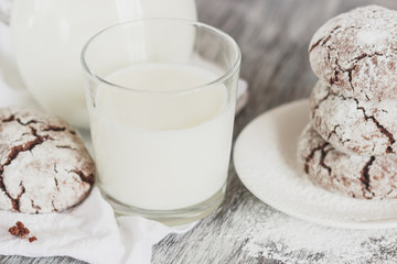 Handmade chocolate cookies, glass and jug with milk, blurred background