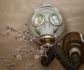 Gas mask on a globe and a dry thorn. Global environmental issues