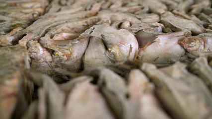 Ready frozen fish in a box. A party of frozen fish in a box. Fresh fish on ice in a cardboard box. Fish in a box, ready to ship. Delivery of frozen fish.